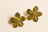 Golden Lined Petal Flower